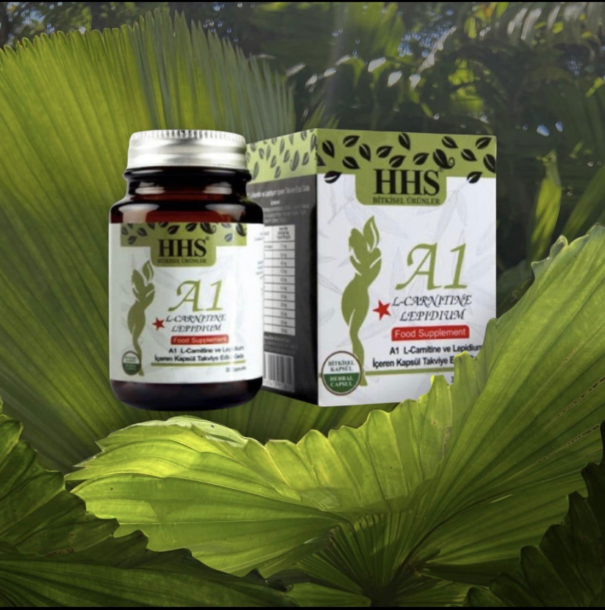 HHS A1 Capsules – Food supplement with L-carnitine & Lepidium